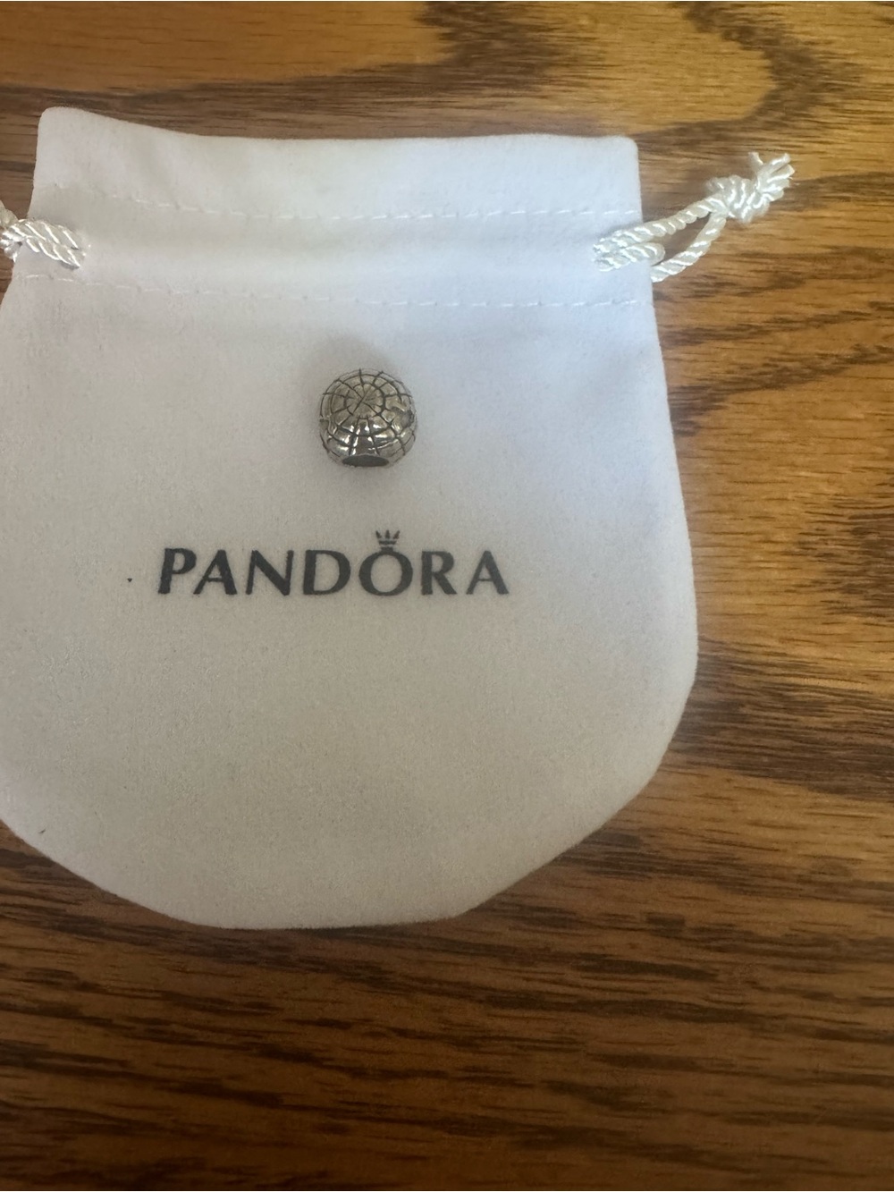 Pandora Silver Globe Web Charm